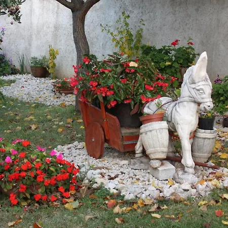 Apartment Apartments With Parking Space Zadar - Diklo, Zadar - 5875 *