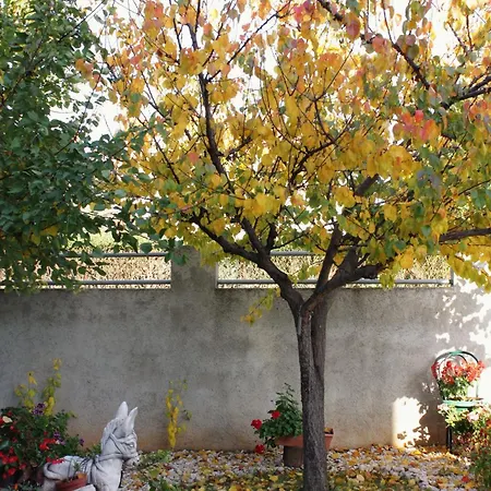 Appartement With Parking Space - Diklo, - 5875 Zadar