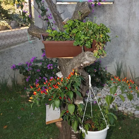 Apartments With Parking Space Zadar - Diklo, Zadar - 5875 Zadar