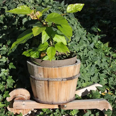 With Parking Space - Diklo, - 5875