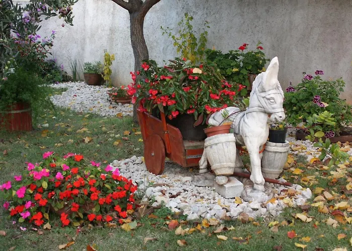 Apartment Apartments With Parking Space Zadar - Diklo, Zadar - 5875 *