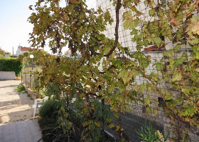 Apartments With Parking Space Zadar - Diklo, Zadar - 5875 Apartment