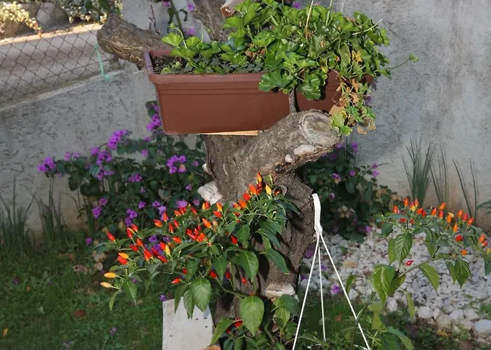 With Parking Space - Diklo, - 5875 Zára