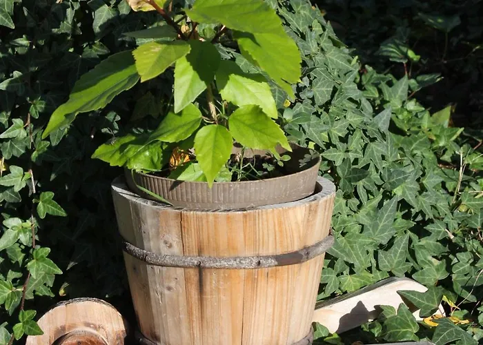 With Parking Space - Diklo, - 5875